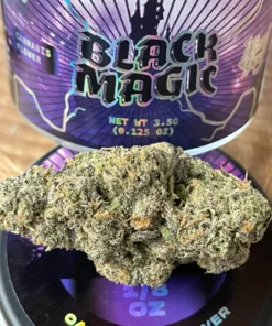 Buy black magic wizard trees